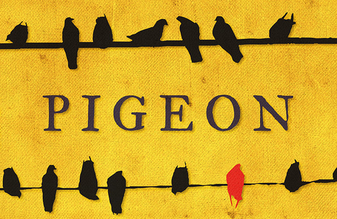 Structo Magazine Review of 'Pigeon'