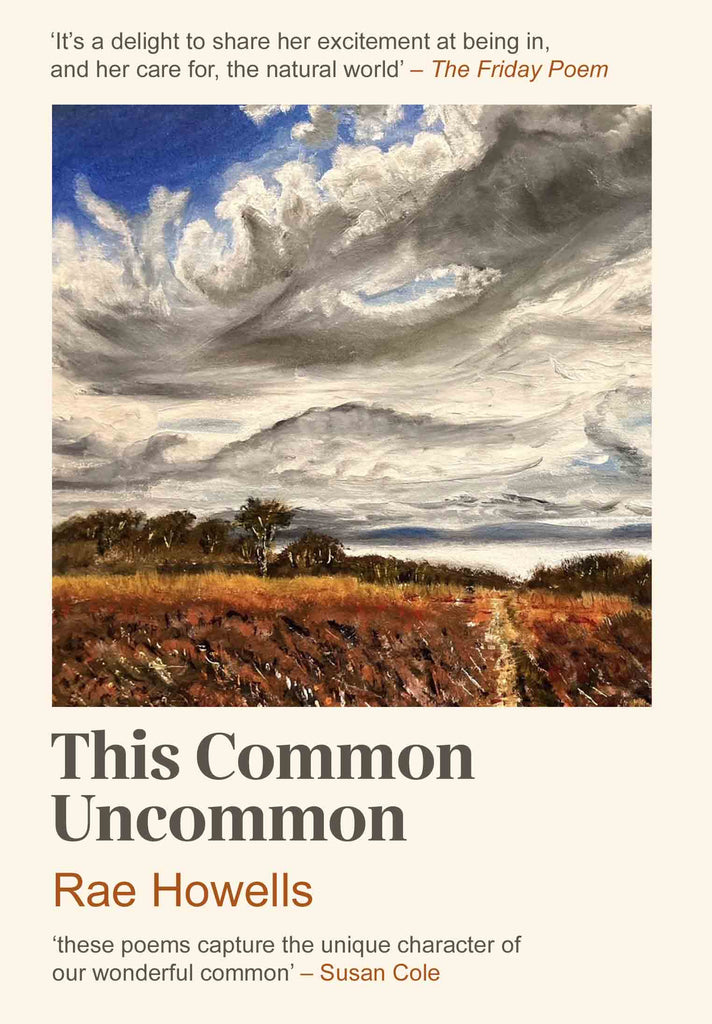 This Common Uncommon: Rae Howells celebrates launch of her love-letter collection to West Cross Common